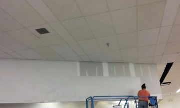 Food Lion - Apex, NC