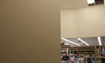 Food Lion - Apex, NC