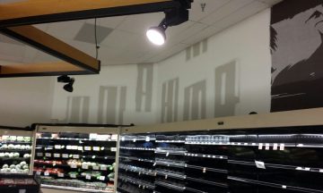 Food Lion - Apex, NC