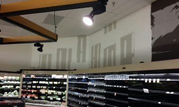 Food Lion - Apex, NC