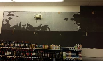 Food Lion - Apex, NC