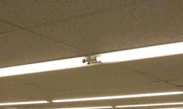 Food Lion - Apex, NC