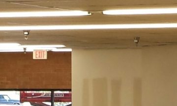 Food Lion - Apex, NC